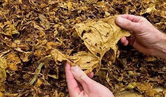 Баба е хваната да търгува с контрабанден тютюн