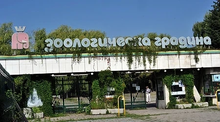 Вирус е причината за смъртта на животните в столичния зоопарк