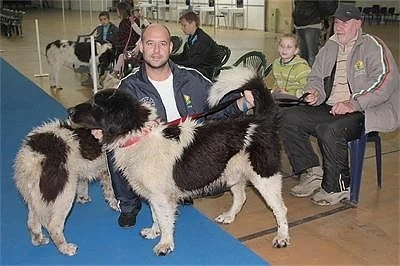 Кучето на Бойко Борисов спечели конкурс за красота