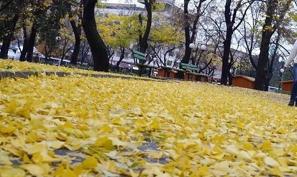 Утре: Облачно, но почти без валежи