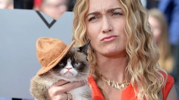 Grumpy Cat донесе 100 млн. долара на собственичката си