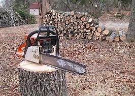 Секат горите без никакво наказание