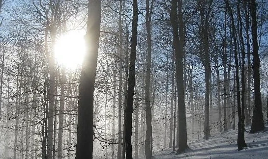 Утре се затопля още. Максималните температури ще са между 11° и 16° 