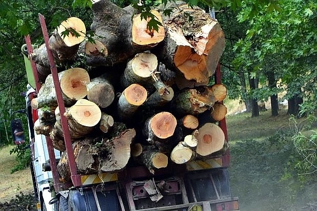 Задържаха камион с 15 кубика дървесина 