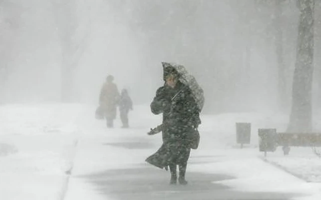 Валежи от сняг и дъжд