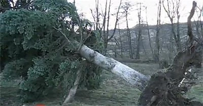 Обявено е бедствено положение в град Вършец