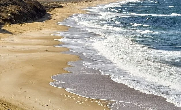 Абу Даби Файненшъл Груп има планове за проект на Черно море