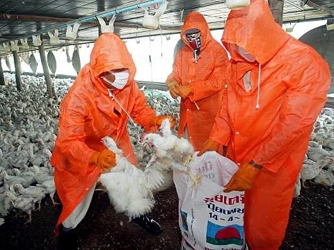 Извънредни мерки за сигурност са въведени Българска агенция по безопасност на храните