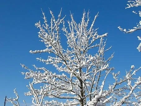 Утре слънчево с максимални температури между 3° и 8°