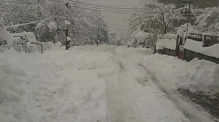 60 000 домакинства още са без ток 