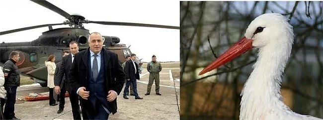 Борисов видя щъркели и свали мартениците 
