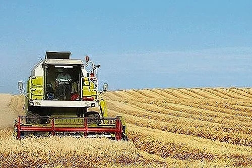   Зърнените култури ще са по-слаби от миналогодишните