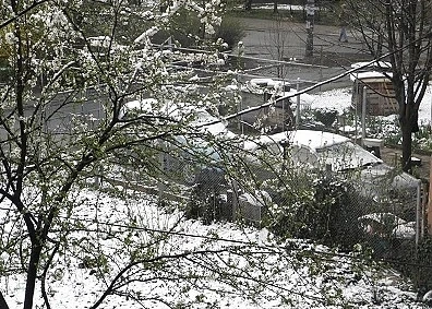 Днес облачно и студено с температури до 12°. Над София вали сняг