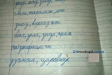 Първокласник написа „царевицА“, учителка го поправя на „царевицЪ“