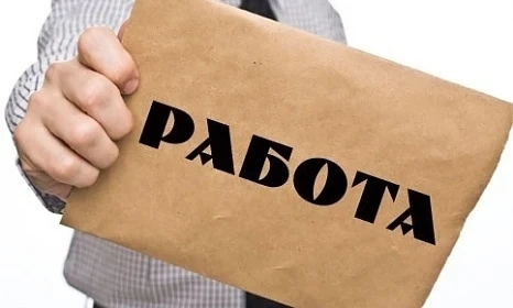 2151 свободни работни места, обявени на борсите