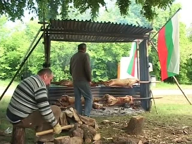Вегетарианци искат забрана на гергьовденските курбани
