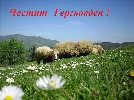 171 356 българи с името Георги