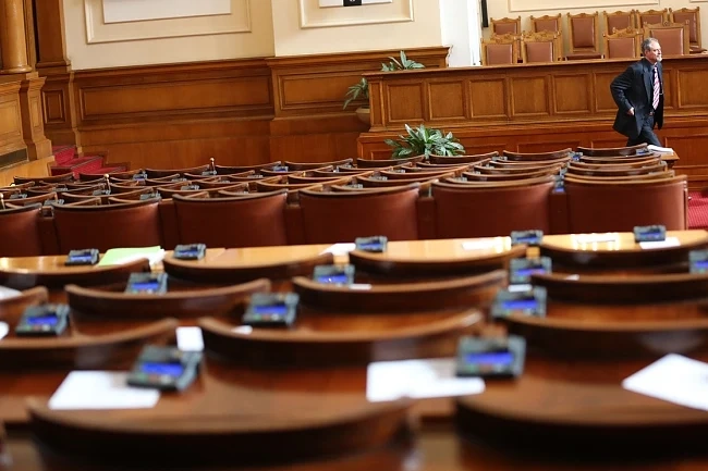 Парламентът дава 150 хил. за цветя