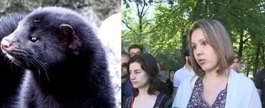 Протест срещу ферма за норки