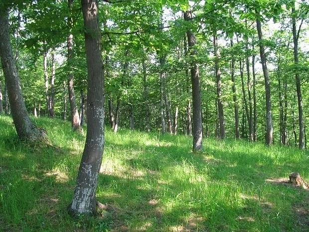 Слънчево време с температури между  25° и 30°