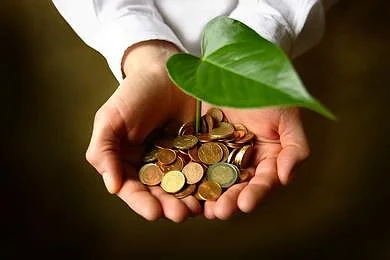 4000 земеделци остават без субсидия?
