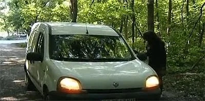 Коли нагло паркират в Борисовата градина