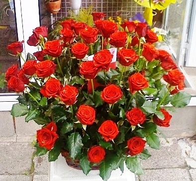 Уханието на рози помага да отслабнете