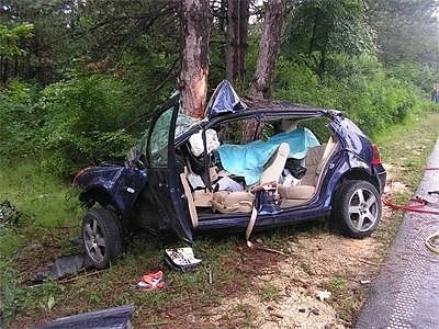 Младо семейство се размаза в дърво