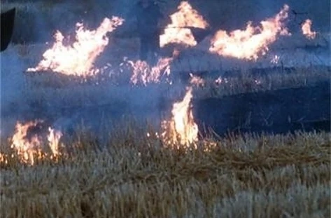 Пожар в района на природен парк „Рилски манастир”