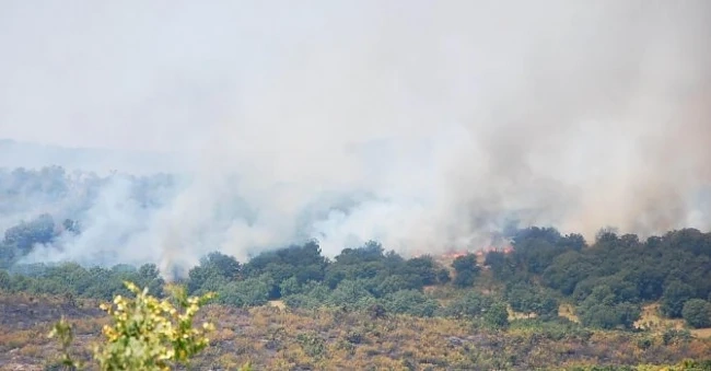 Овладян е пожарът край село Жълти бряг, Хасковско