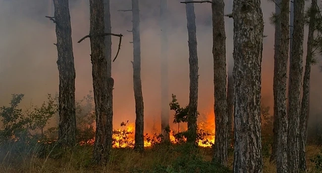 Още пожари в района на Лесово