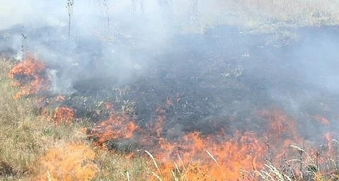 Червен код за голяма опасност от пожари в Югоизточна България
