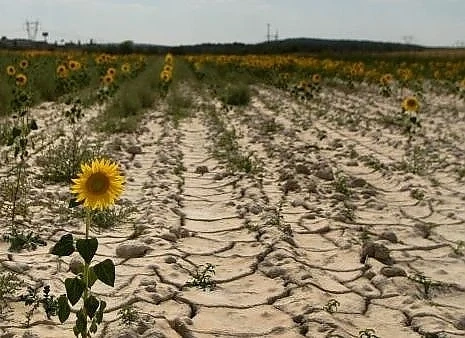  Климатът на земята се променя и изменя