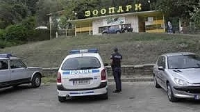 Дебнат избягалата вълчица от зоопарка в Благоевград