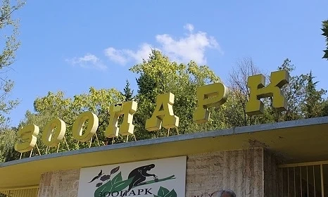 Продължават опитите за залавяне на вълчицата в зоопарка в Благоевград