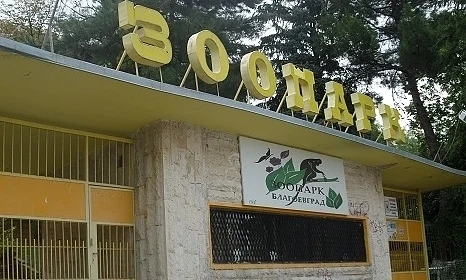 Още не могат да заловят вълчицата Лупи
