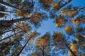 Днес облачността ще се увеличава. Температурите ще са между 19° и 24°