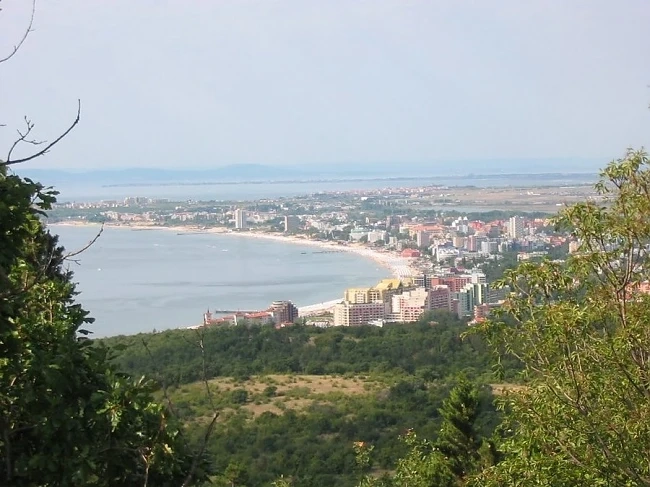 Семейство гъбари откриха човешки останки в гората край Свети Влас
