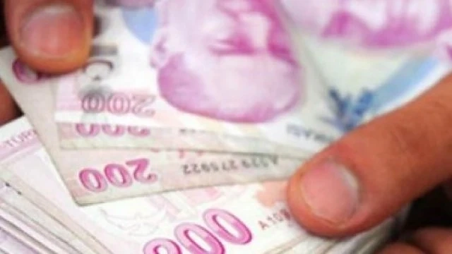 Турската лира поскъпна 