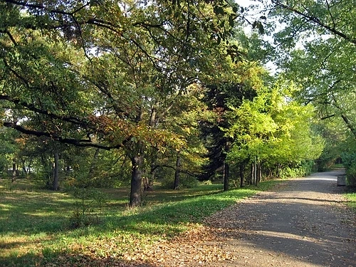 Пожар в Ловния парк в София