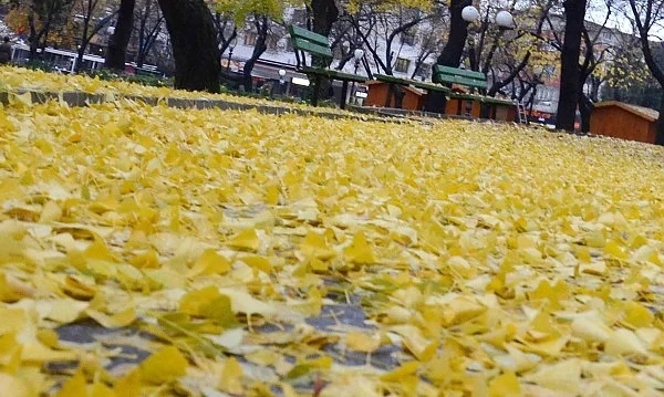 Край на слънчевото време, от утре завалява