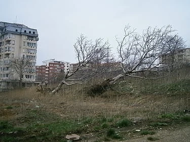 Обстановката в София от силния вятър се нормализира 