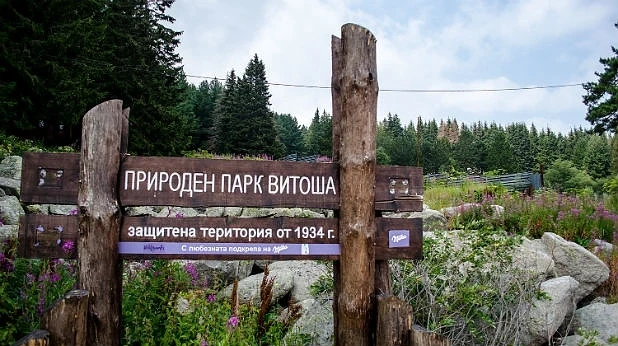 ВАС отхвърли устройствения правилник на Агенция по горите за парк Витоша