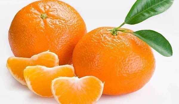 Повишиха цените на цитрусите