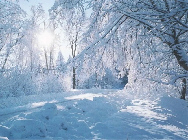 Сняг за Нова година
