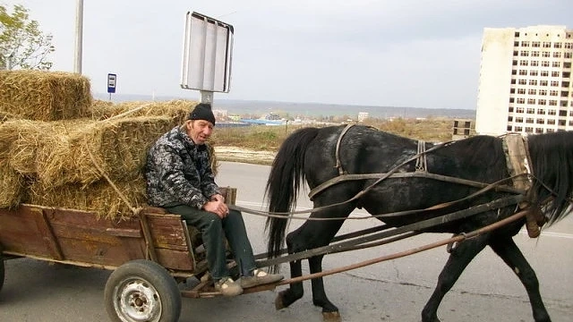 Обявяват вечерен час за каруците в Стара Загора