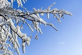 Днес ще е слънчево, но студено с максимални температури между - 10° и - 4°