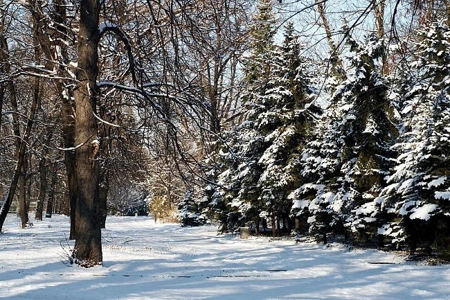 Днес разкъсана облачност с максимални температури между 5° и 10°