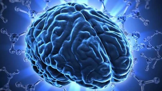 Човешкият мозък може да запази съдържанието на 4.7 милиарда книги 