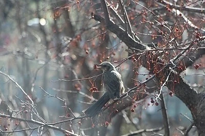 Слънчево с температури между 10° и 15°